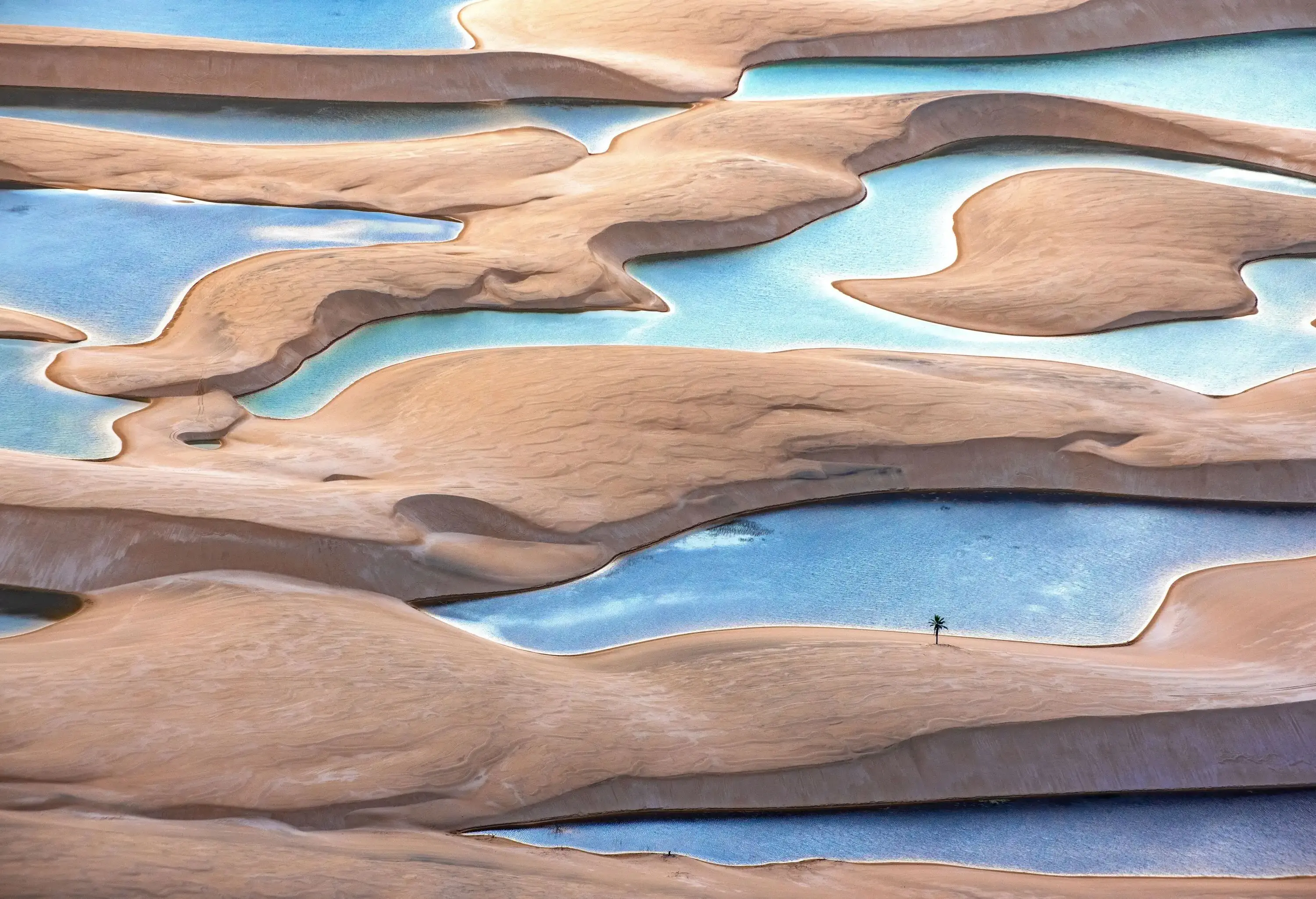 A landscape of water-filled ponds formed by undulating sand dunes.