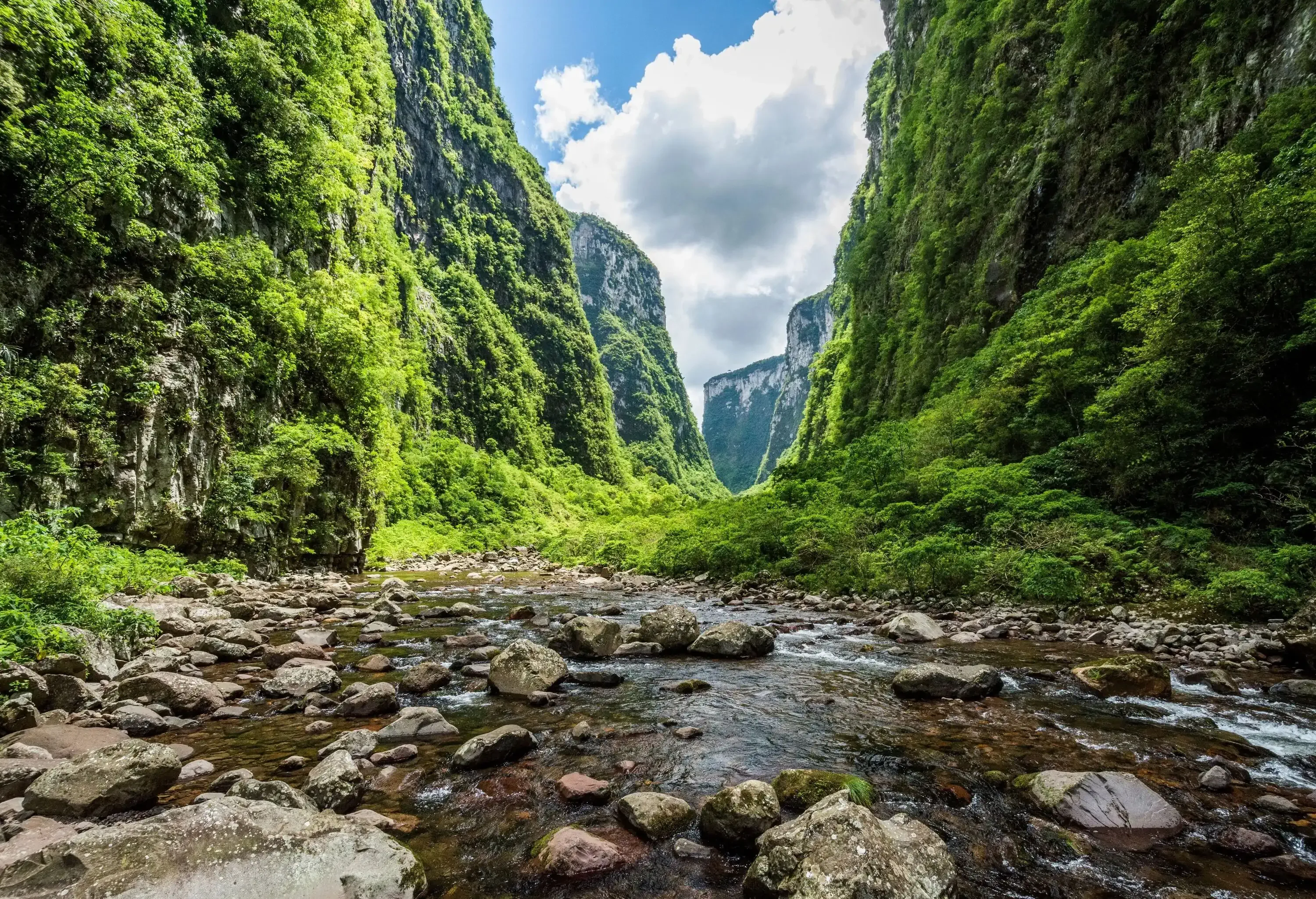 A narrow stream of water trickling down a riverbed littered with rocks between high cliffs.