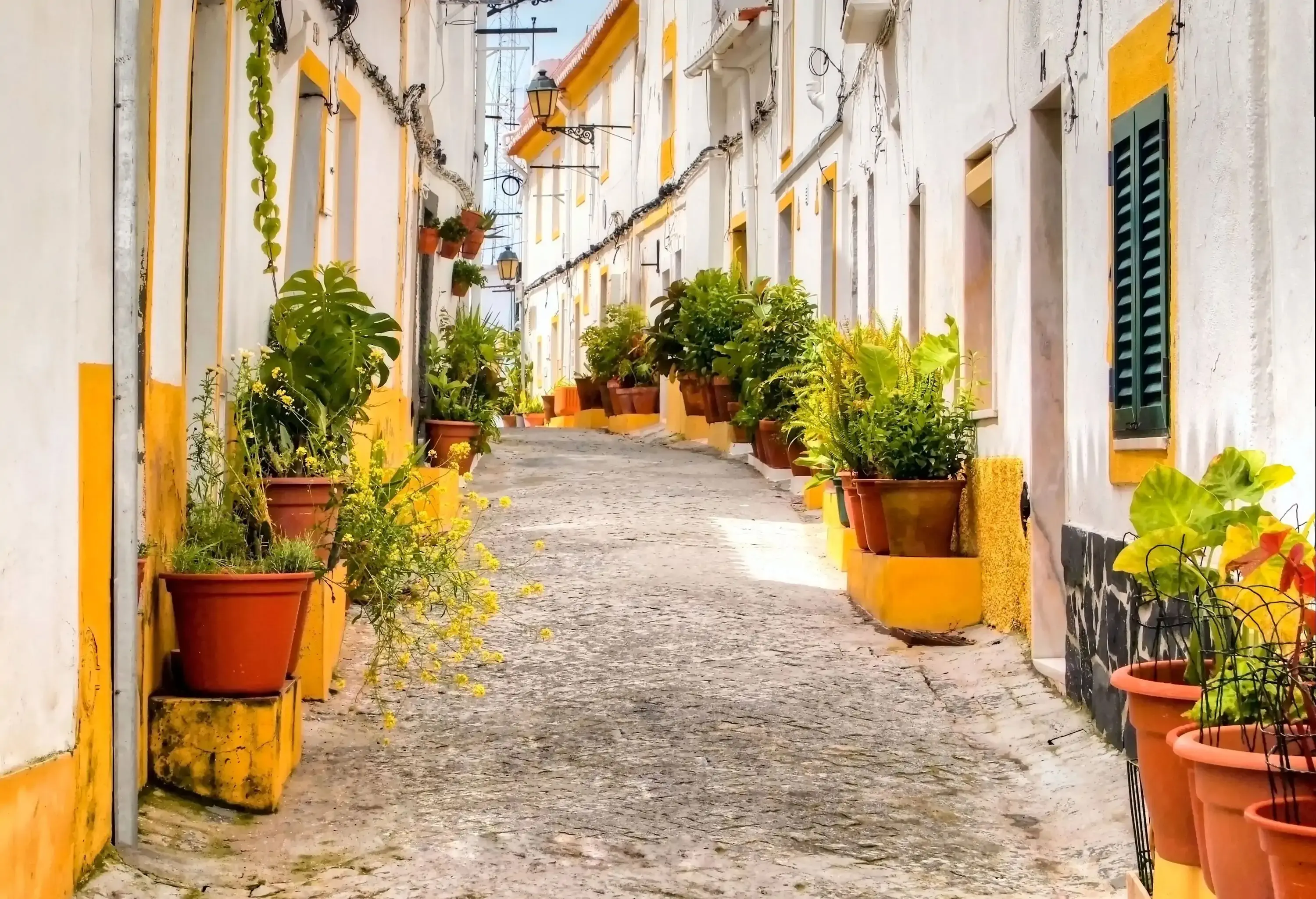 White-painted houses with yellow trim and potted plants along a narrow street.