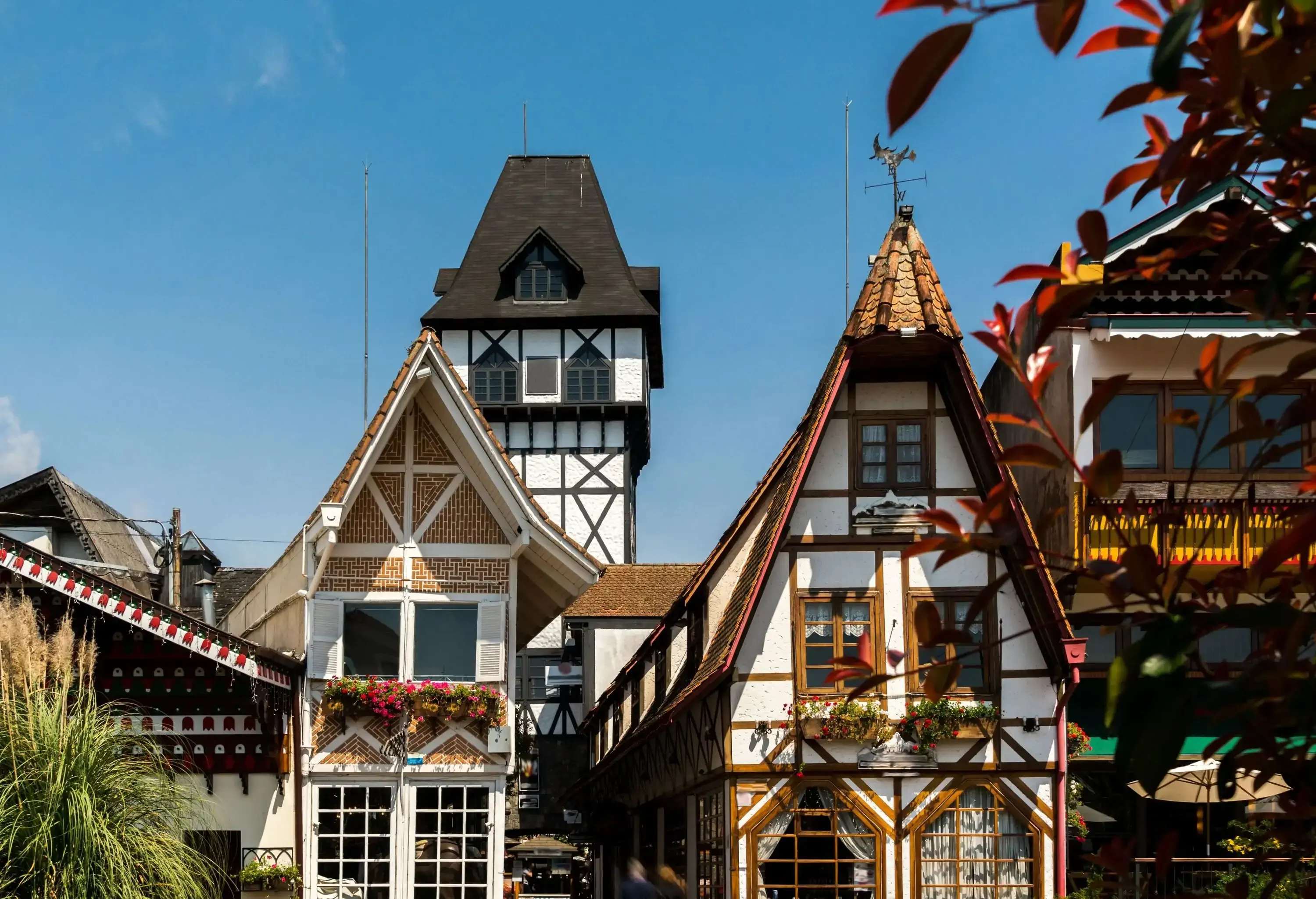 A neighbourhood of adjacent half-timbered houses with tile roofs and windows with flower planters.
