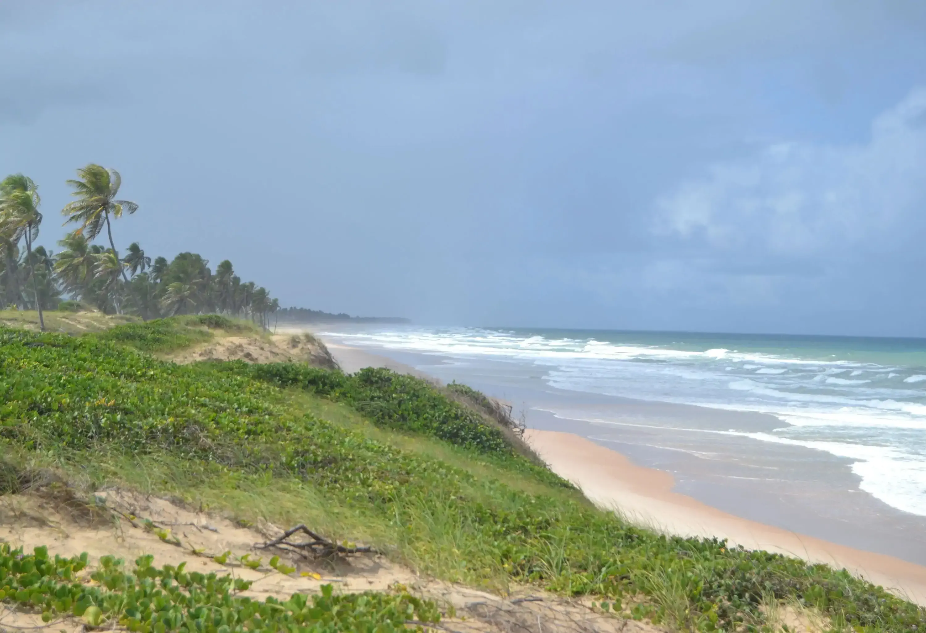 A wavy sea crashes over the lush shore on a windy day.
