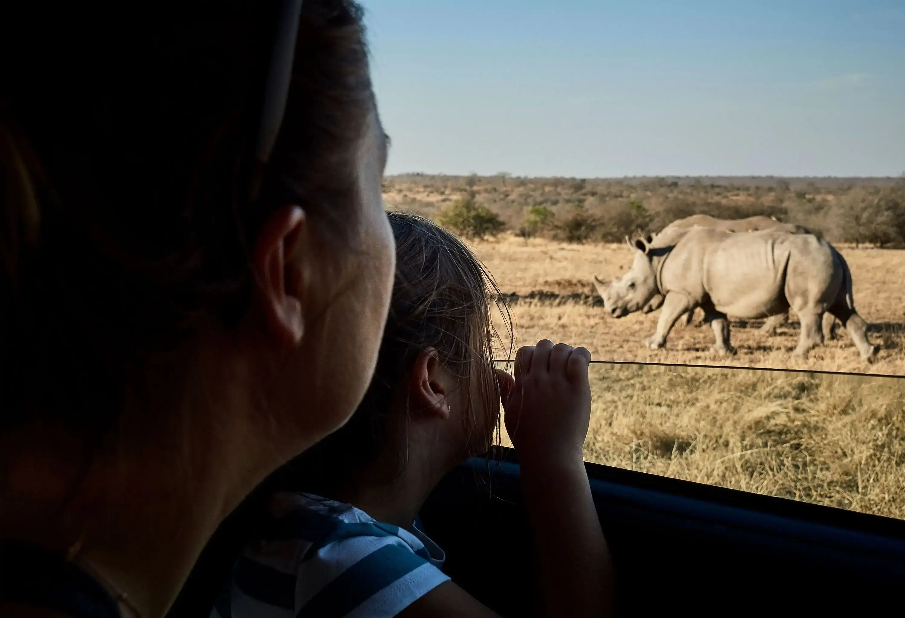 A mother and daughter are watching the rhinos in the wild from their car window.