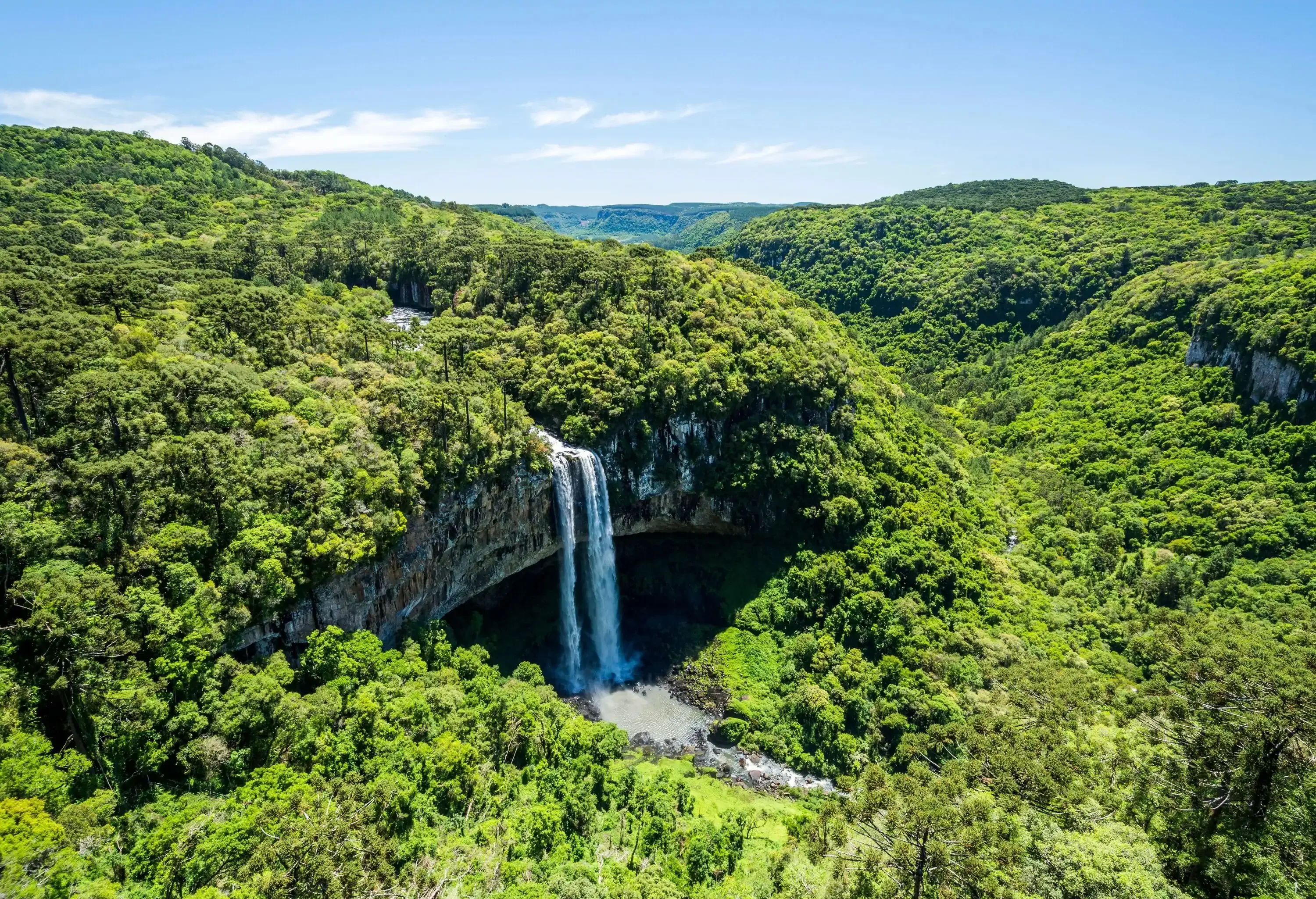 A waterfall gushing down a hanging cliff surrounded by dense vegetation.