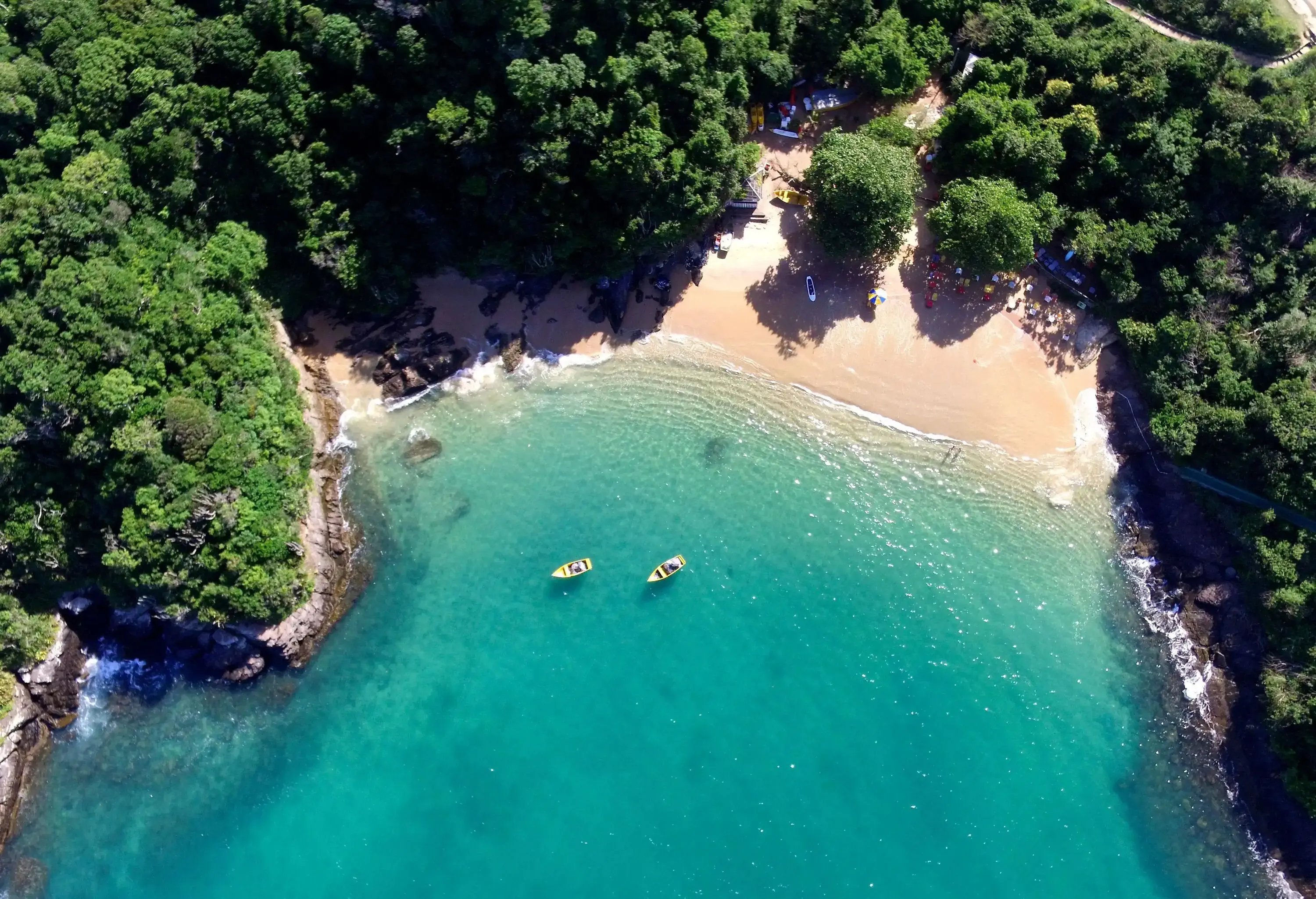 Two boats are serenely moored by a tranquil bay, embraced by a lush canopy of trees.