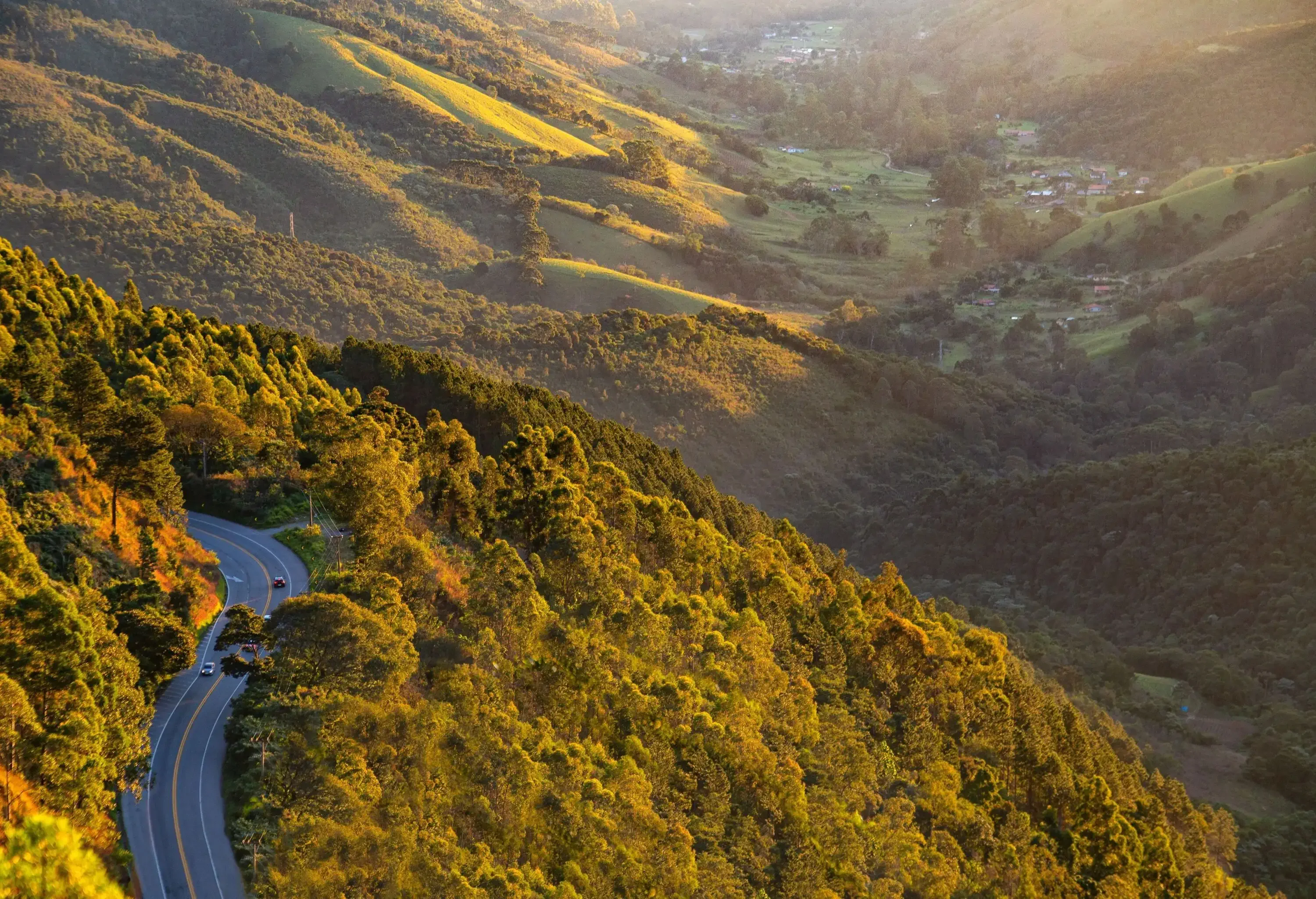 A hillside road bordered by a dense forest with distant views of green valleys.