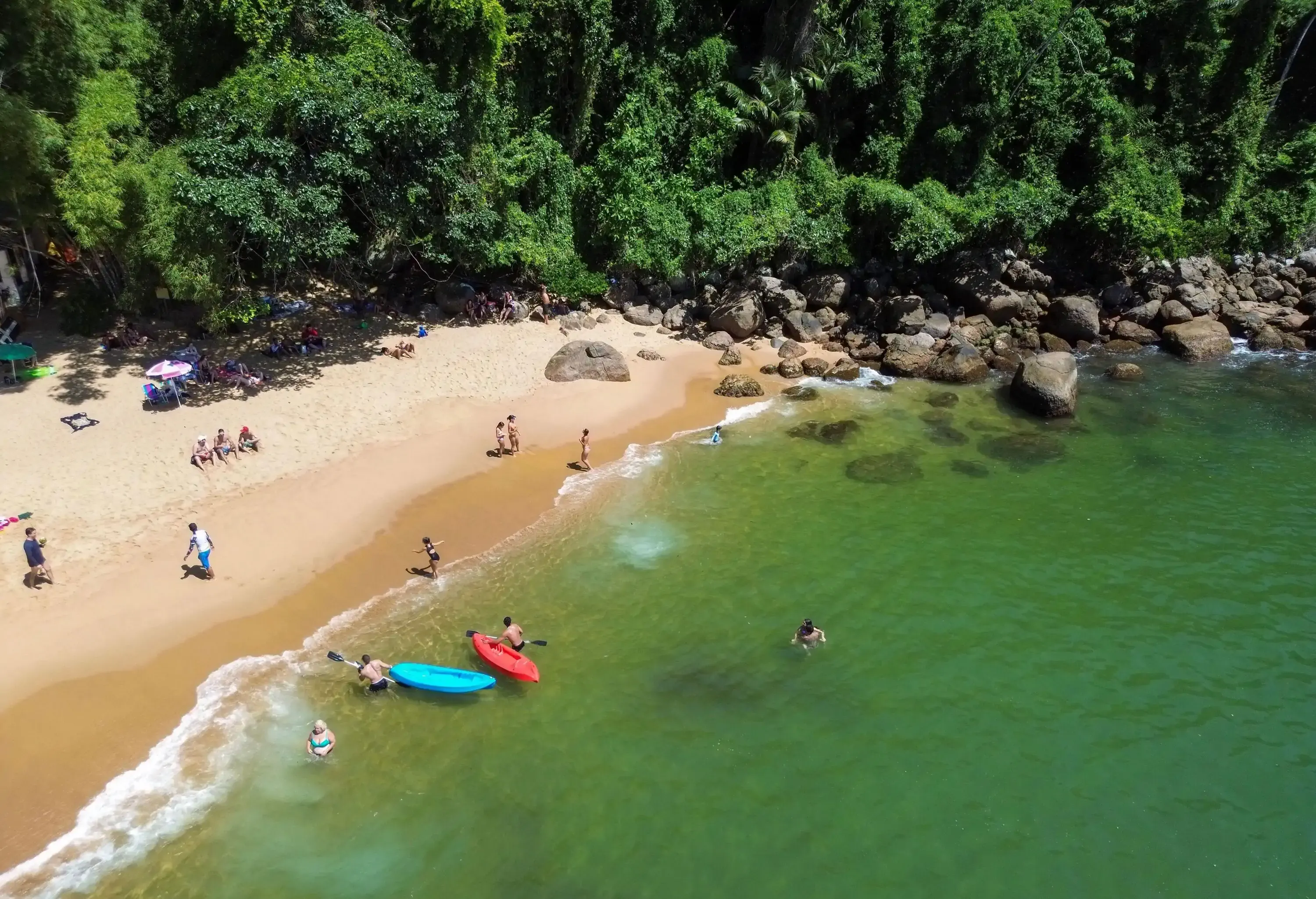 Lush rainforest, golden sands, and crystal-clear waters. Visitors enjoy kayaking, swimming, and lounging under the shade of trees.