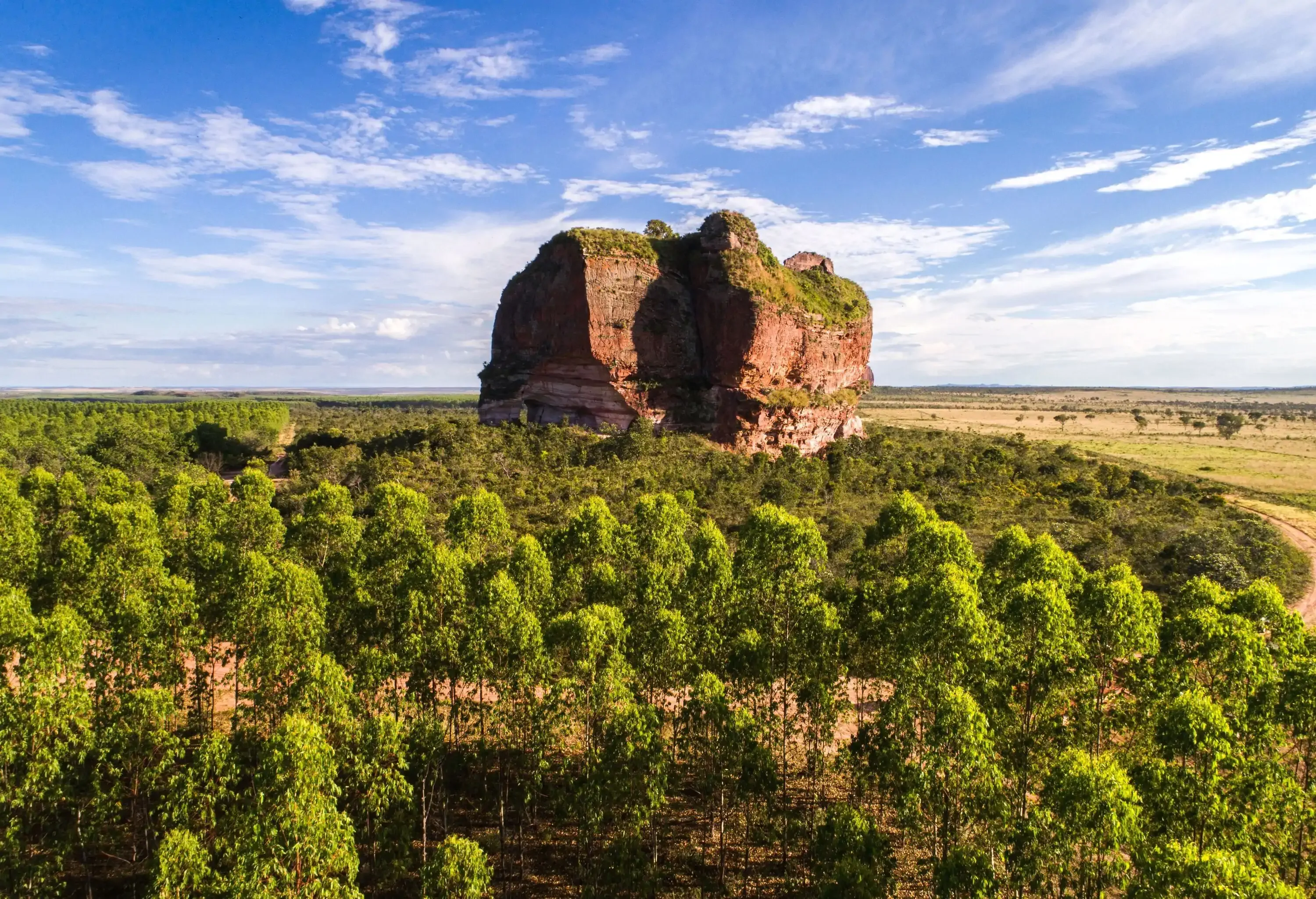 A steep rock hill surrounded by a dense forest.
