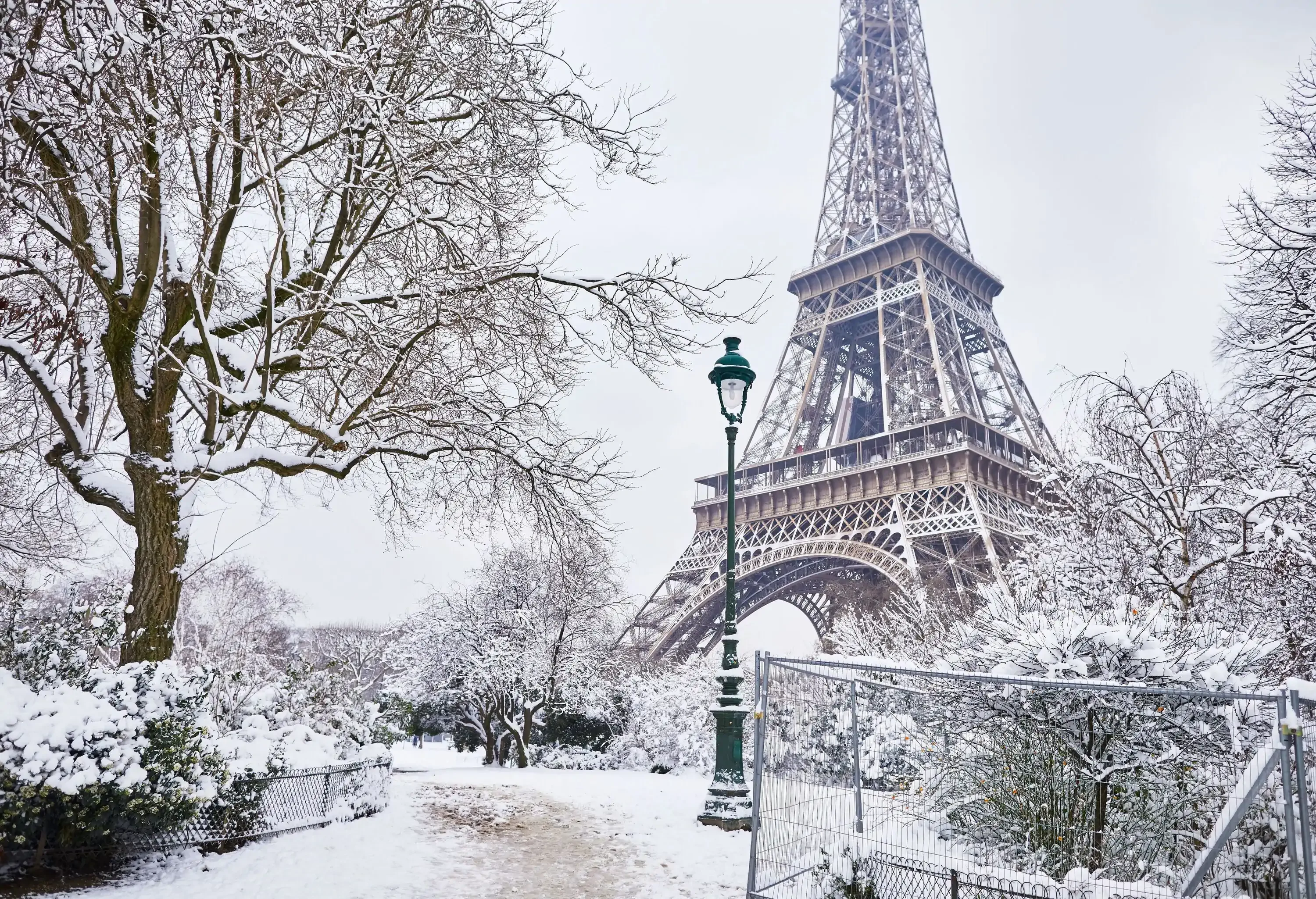 Snow-covered street lamp and surrounding barren trees and foliage below the Eiffel Tower.