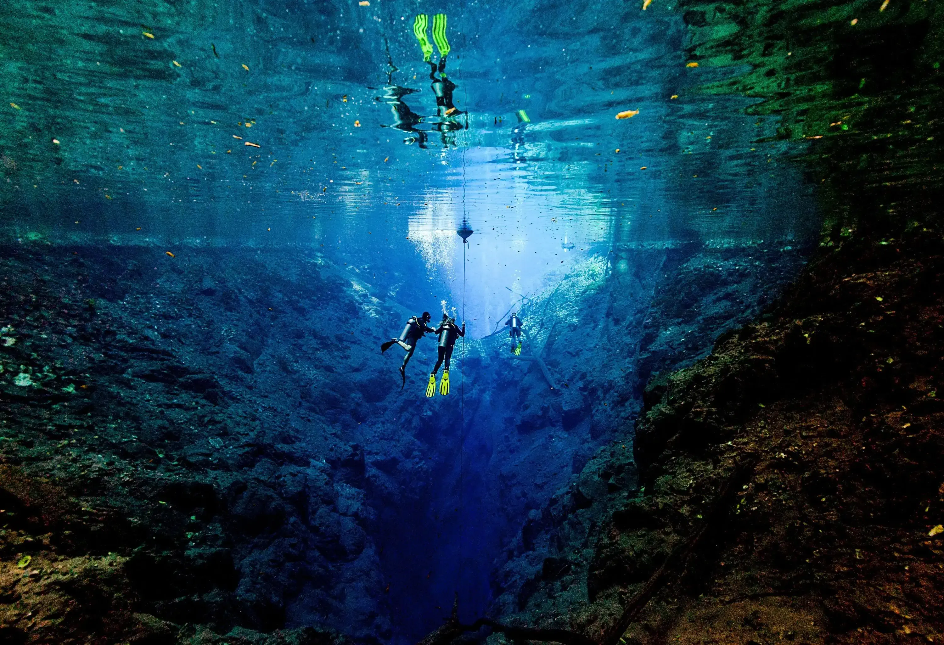 Underwater view with reflection of divers in sinkhole with clear blue water