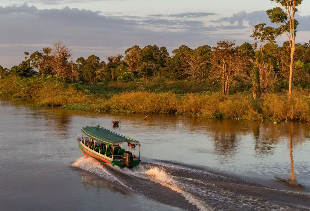 An express passenger boat on a river surrounded by its forested shore.