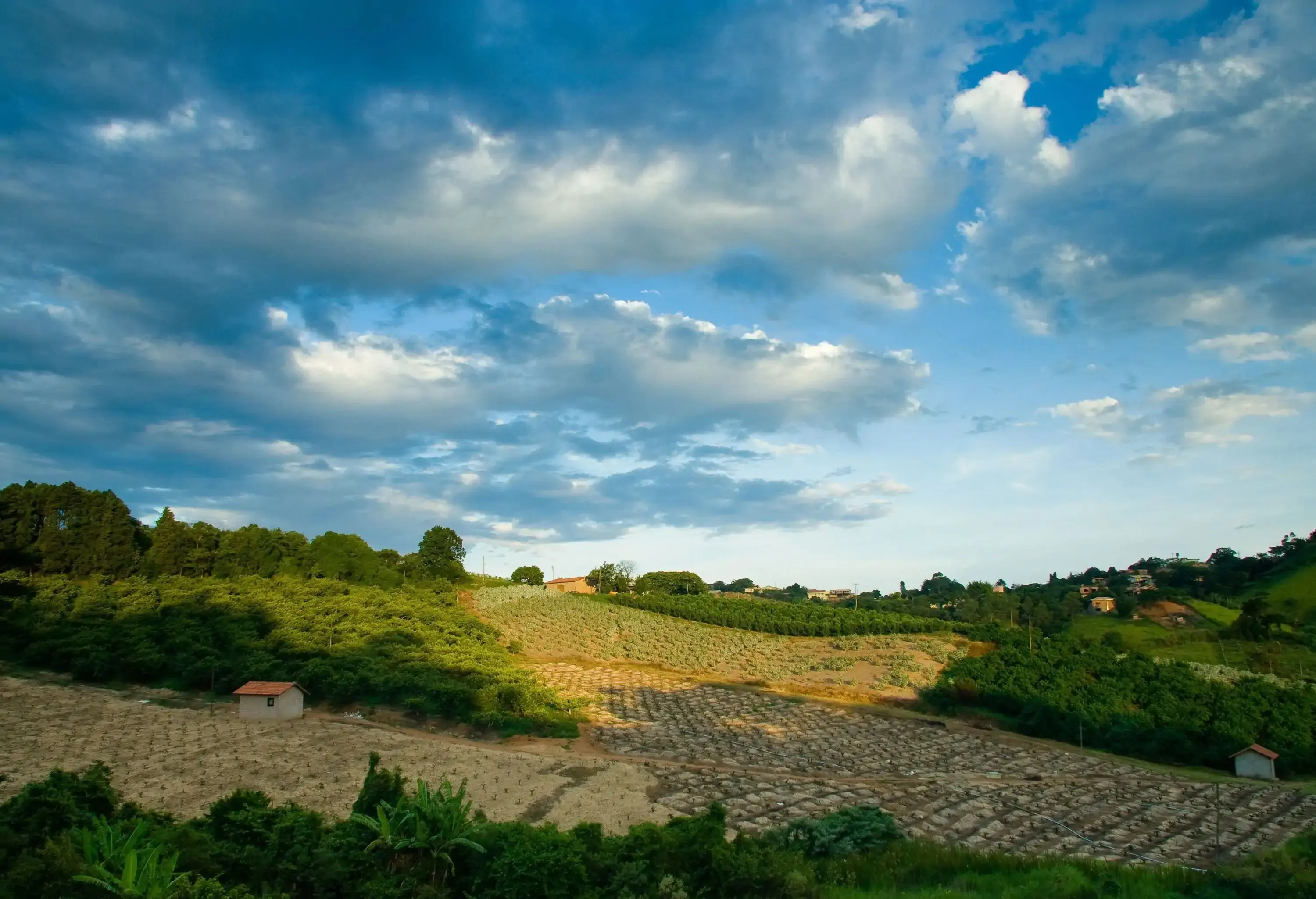 In the vast rural landscape, humble sheds dot the farmlots, nestled amidst a tapestry of vibrant green fields and towering trees.