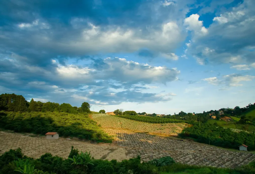In the vast rural landscape, humble sheds dot the farmlots, nestled amidst a tapestry of vibrant green fields and towering trees.