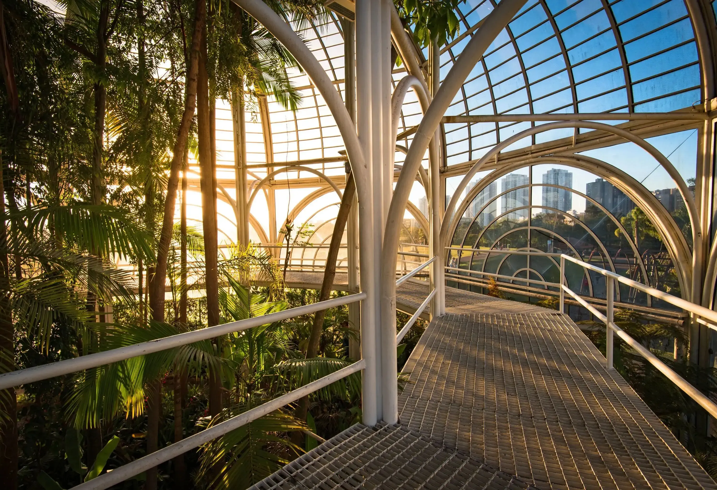 A walkway along lush foliage inside a glass greenhouse.