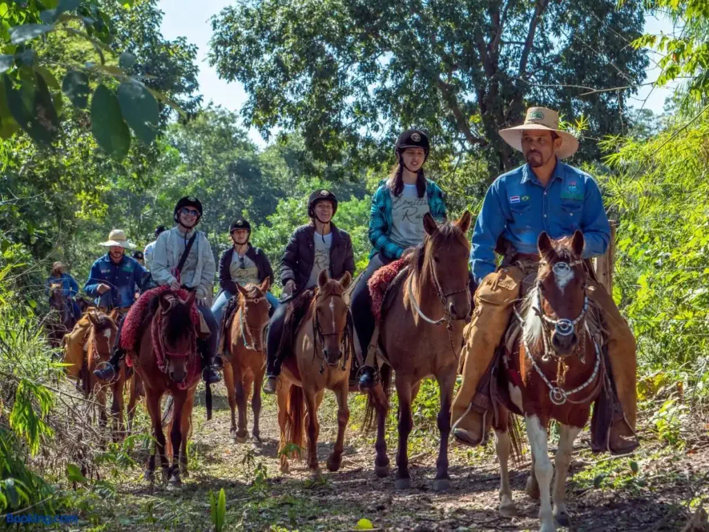 Group of people doing horseback riding excursion