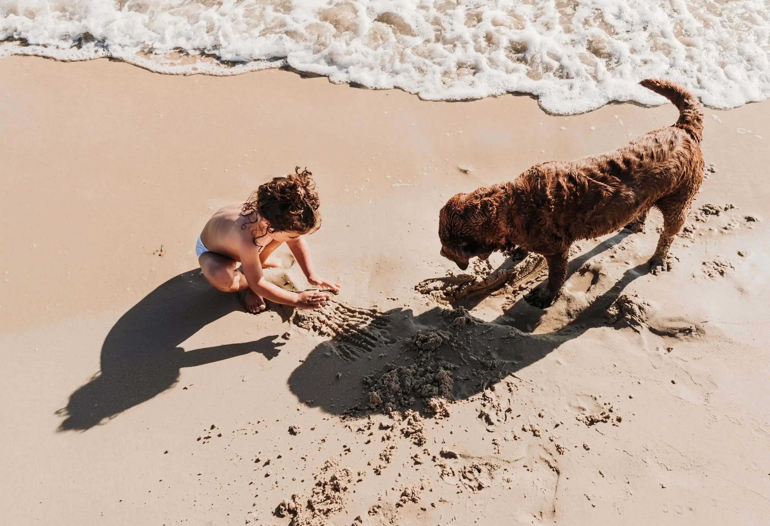 Top view of a little kid with a damp brown fur dog on the shore of the beach.