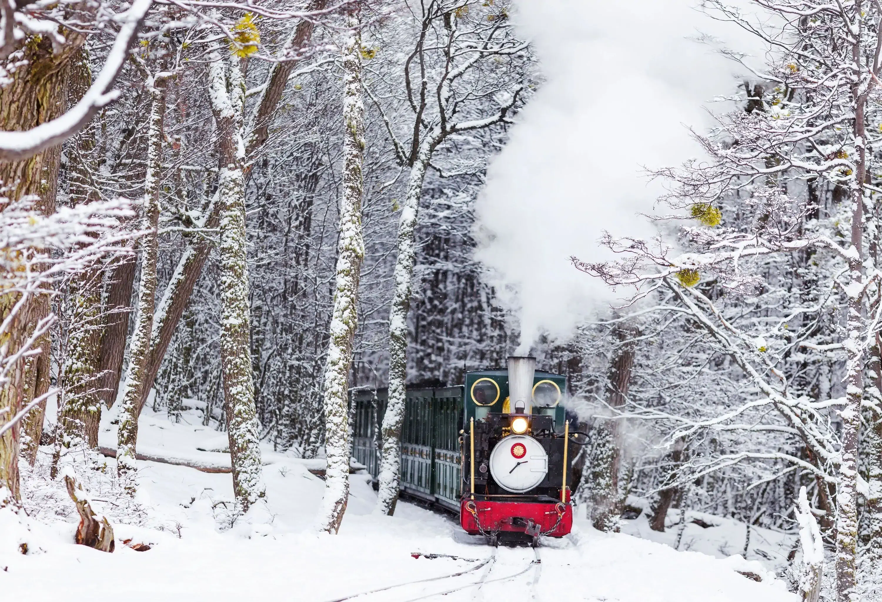 A train blowing off steam approaching head on through the woods covered in snow.