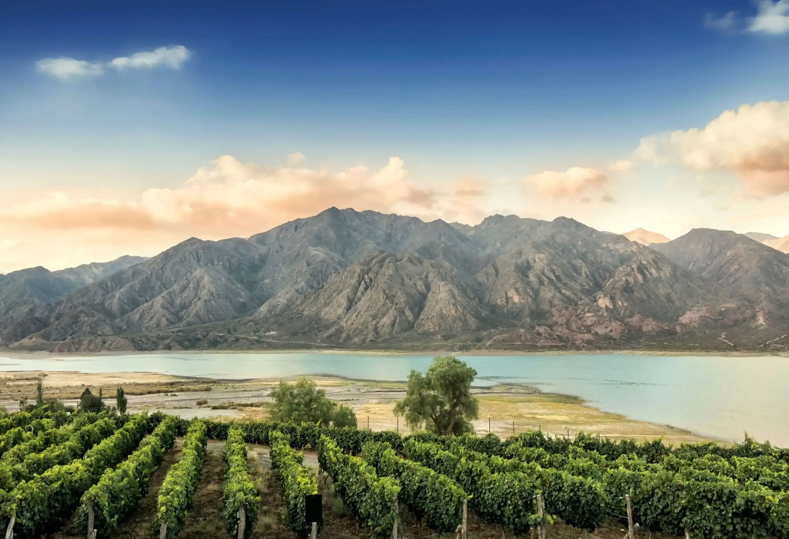 A vineyard on the banks of a river, with a breathtaking mountain range across from it.