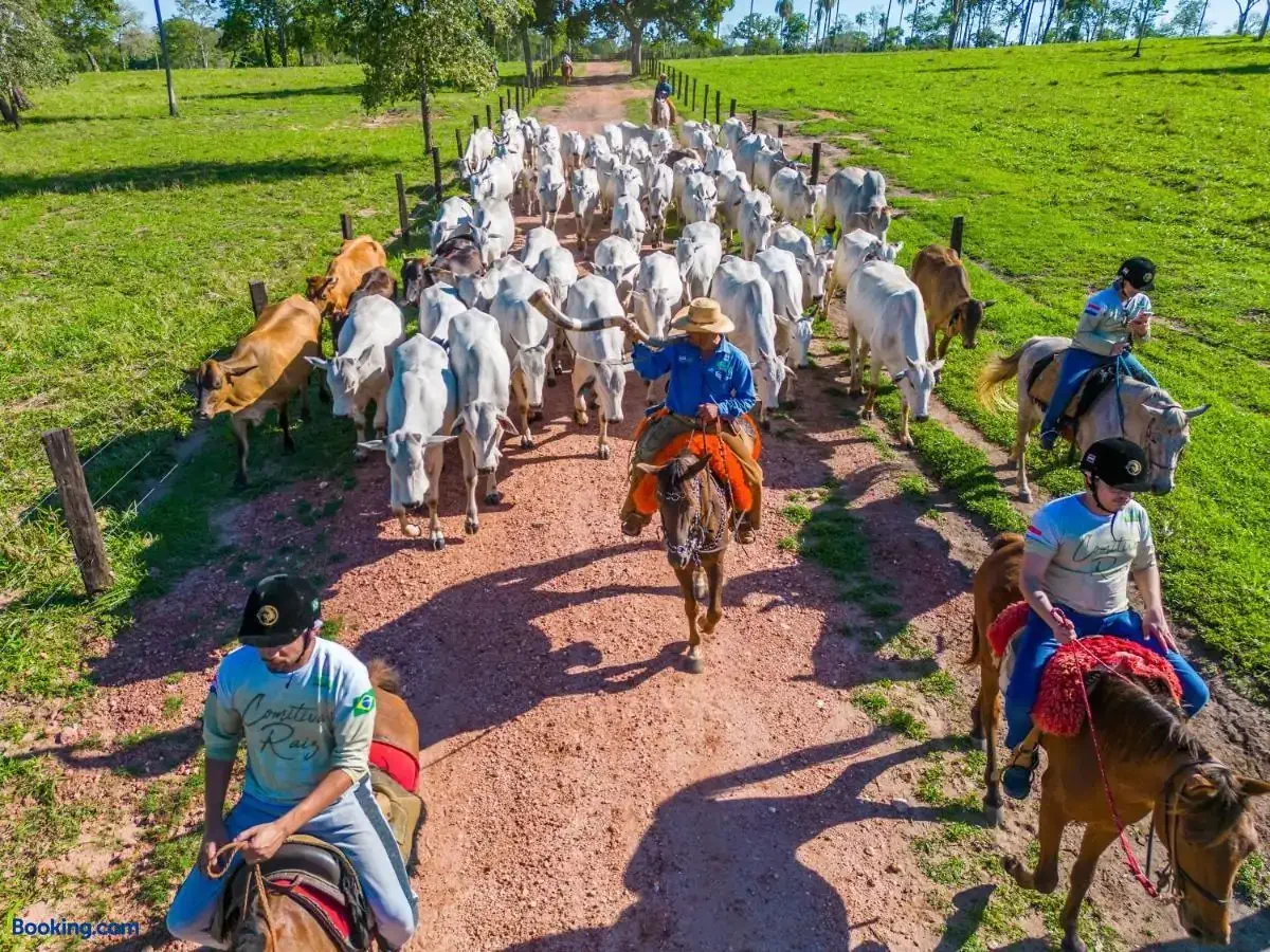 Group of people on horseback herding cattle