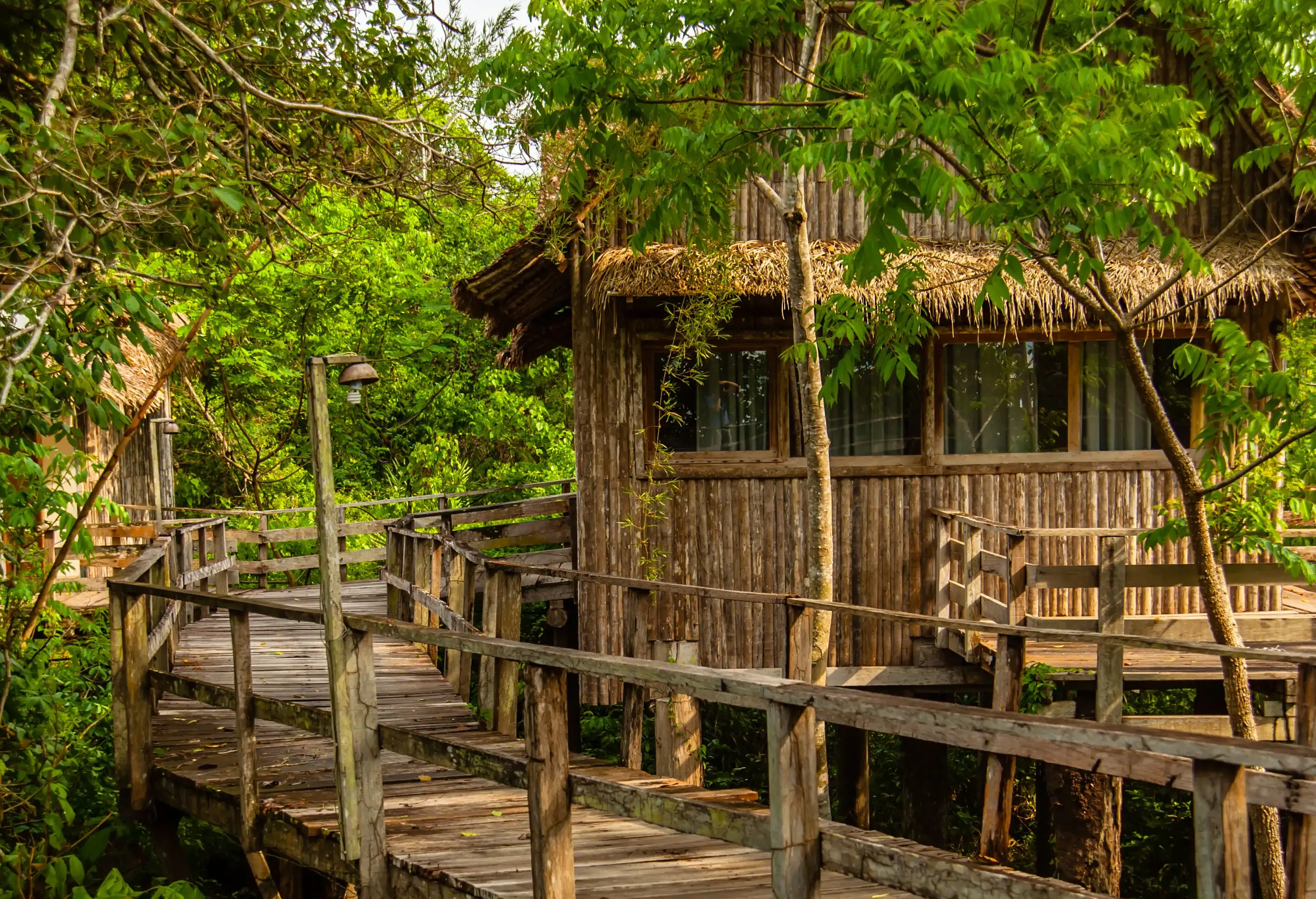 theme_hotel_jungle-hotel_dest_brazil_guajara-mirim_rondonia_gettyimages-914680014_universal_within-usage-period_38362