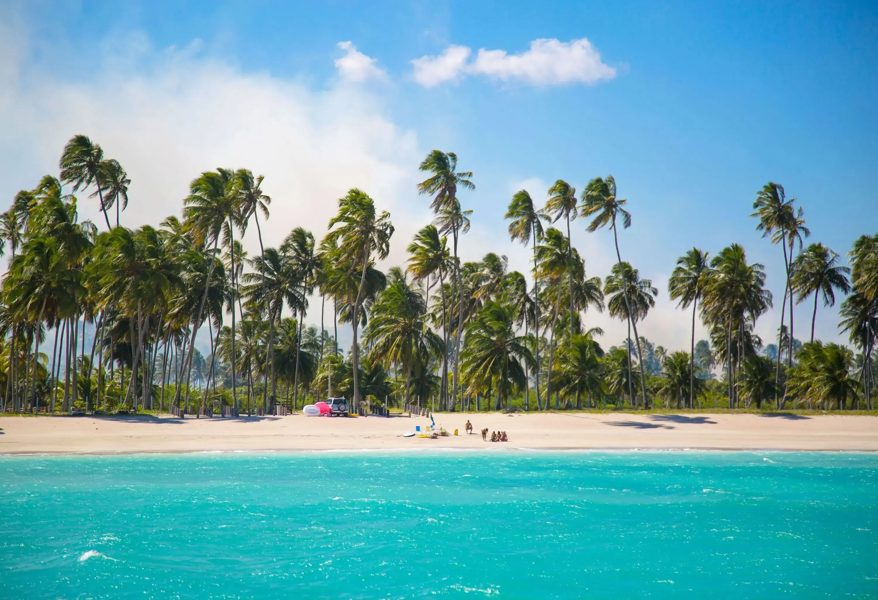 A turquoise water beach with a white sand shore lined with towering palm trees.