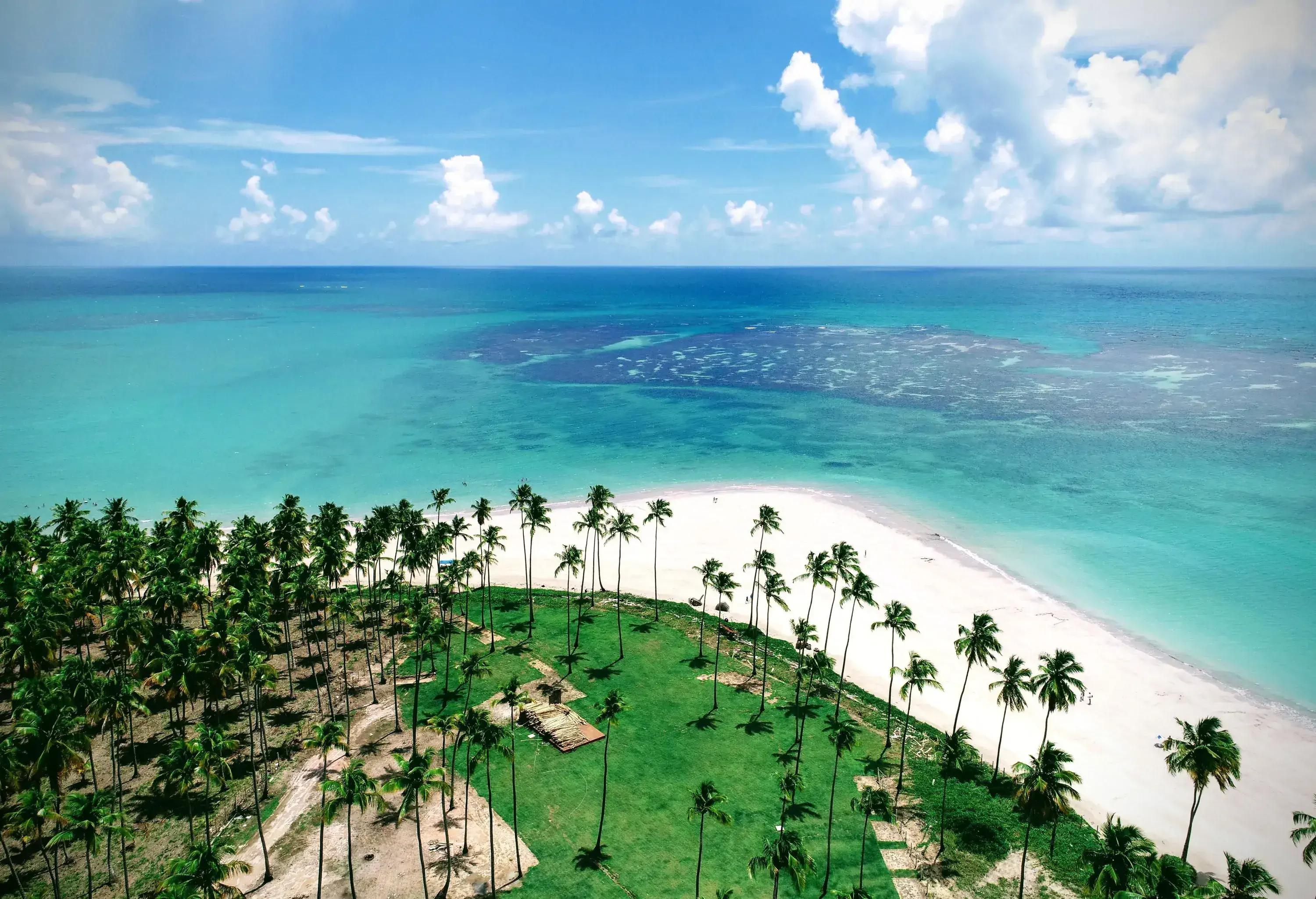 A captivating coastline dotted with towering palm trees, the vast sea stretching into the horizon beneath a canopy of cloudy skies.