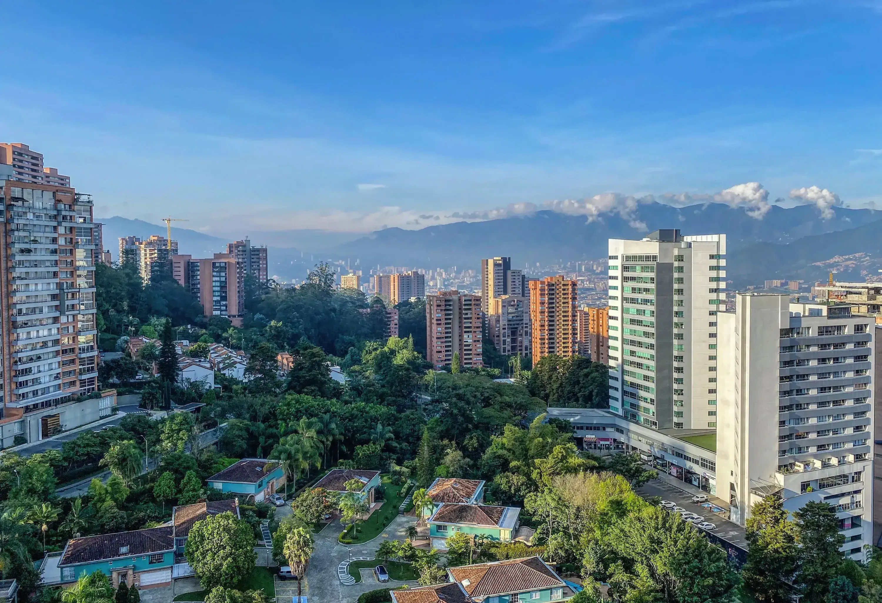 A densely forested residential area in a city with high-rise structures in the background.