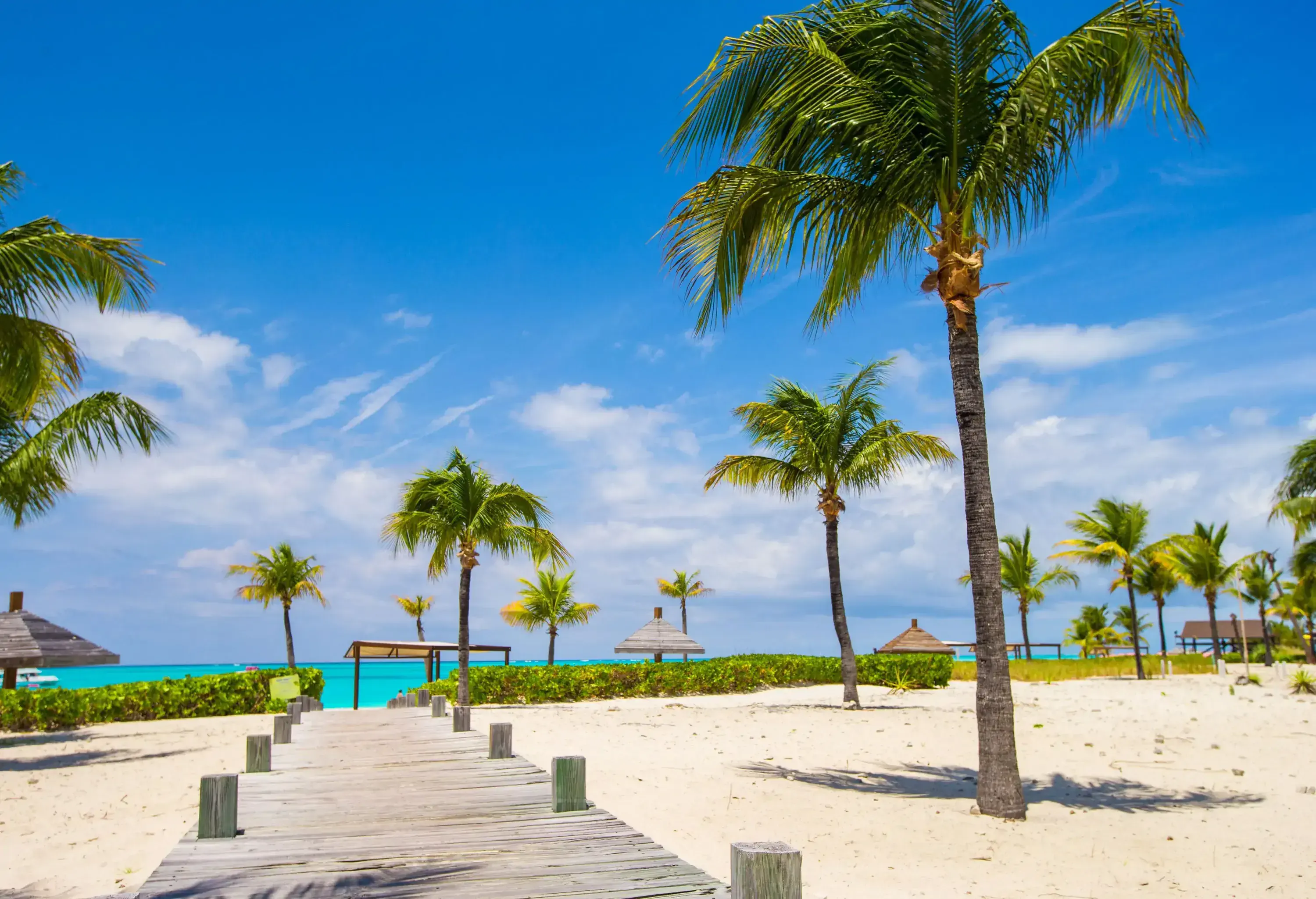 A picturesque and tranquil turquoise beach with a white sand shore surrounded by tall palm trees.