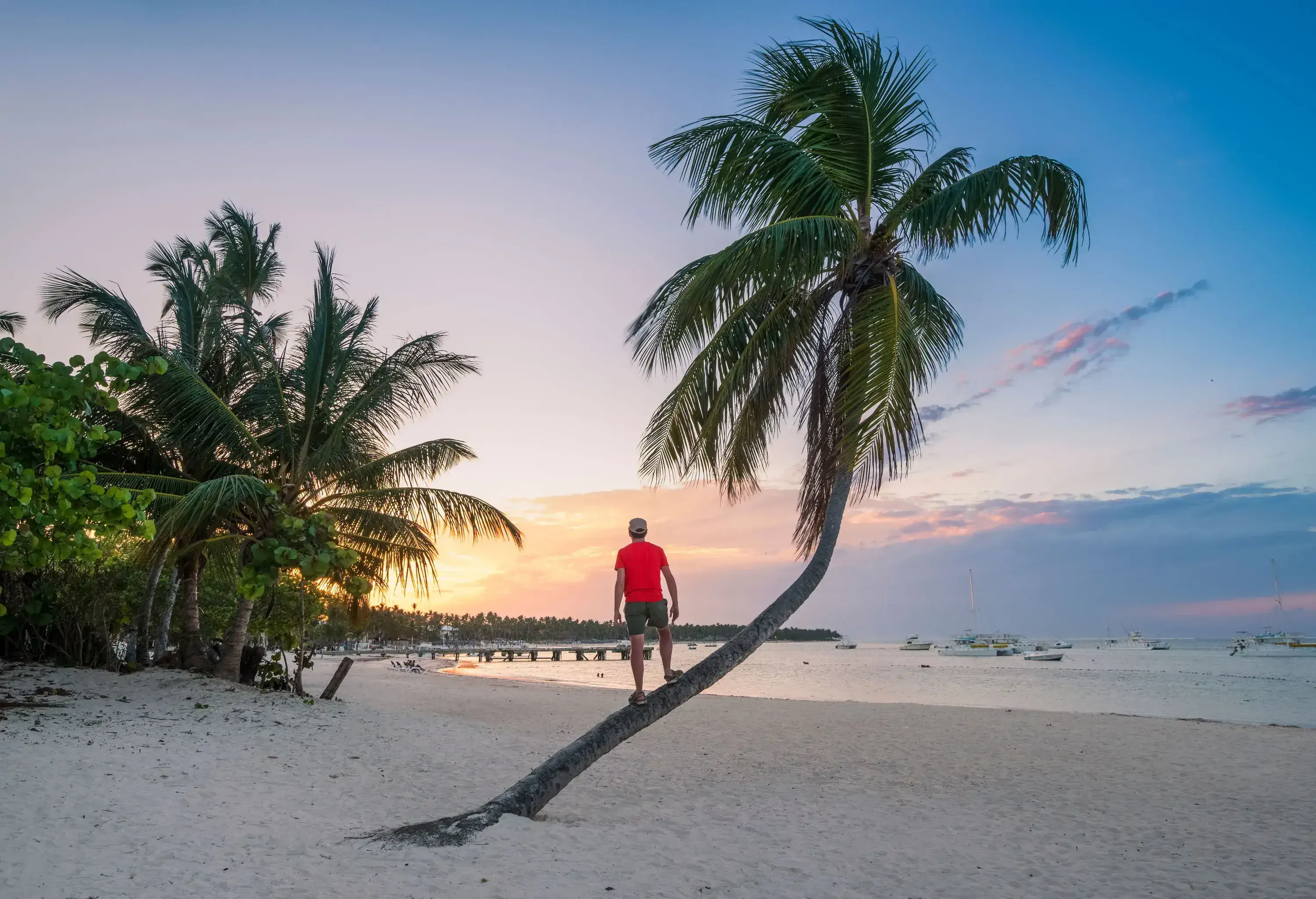 A male tourist stands on a leaning palm tree on a sandy beach on a scenic sunset.