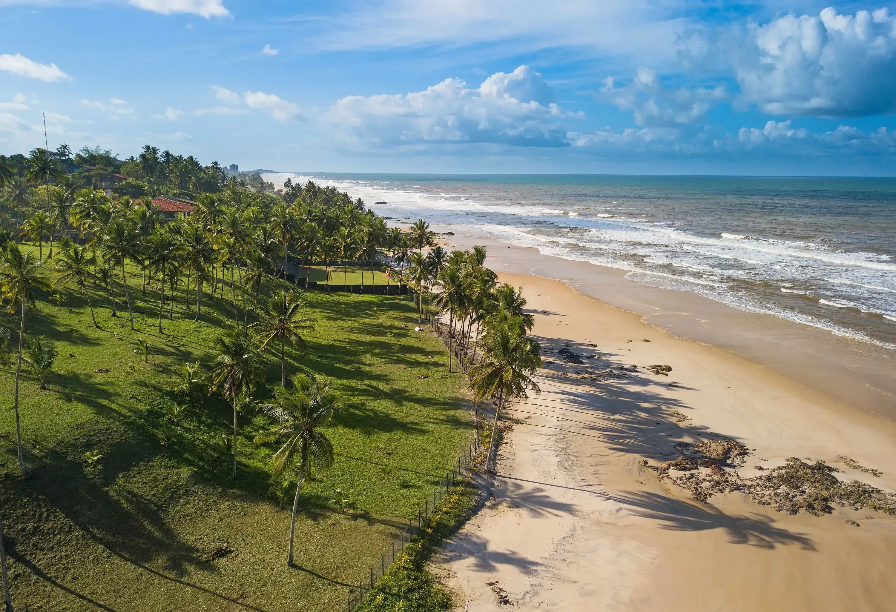 A pristine beach and its emerald-green shore are adorned with swaying palm trees, while gentle waves rhythmically kiss the sandy coastline.
