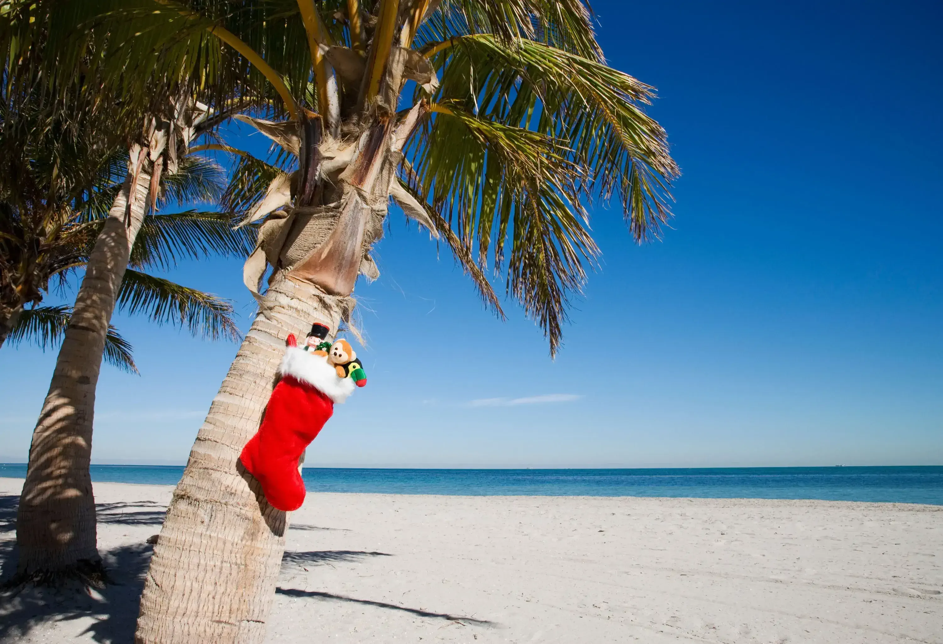 A red Christmas stocking filled with toys hangs from a palm tree on a sunny sandy beach with blue ocean under clear skies.