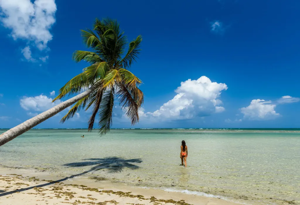 A woman on the shore walks towards the clear water sea against the cloudy blue sky.