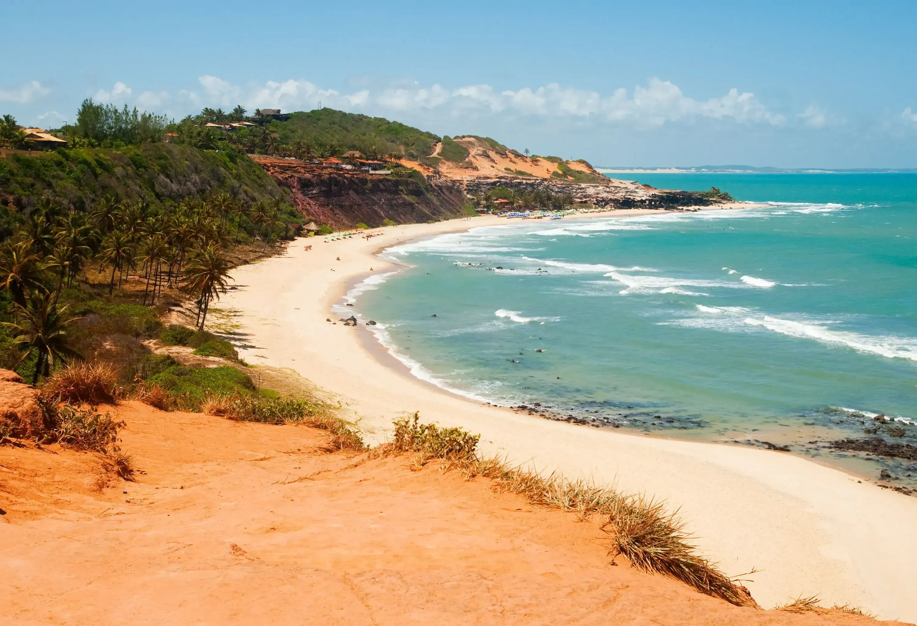 An empty beach with gentle waves along a slope covered in lush vegetation.