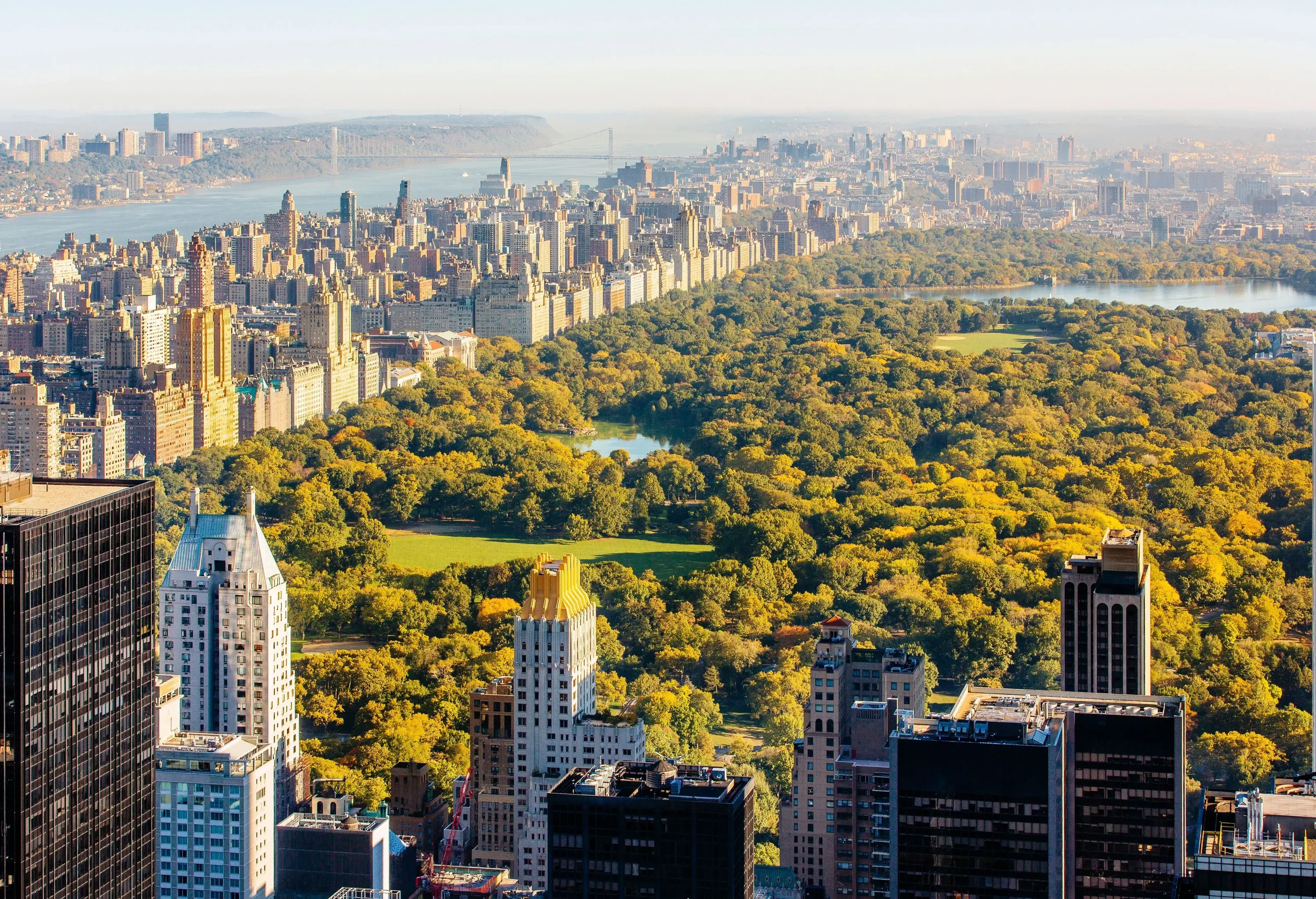 The vast length of Central Park covered with thick trees and surrounded by tall buildings. 