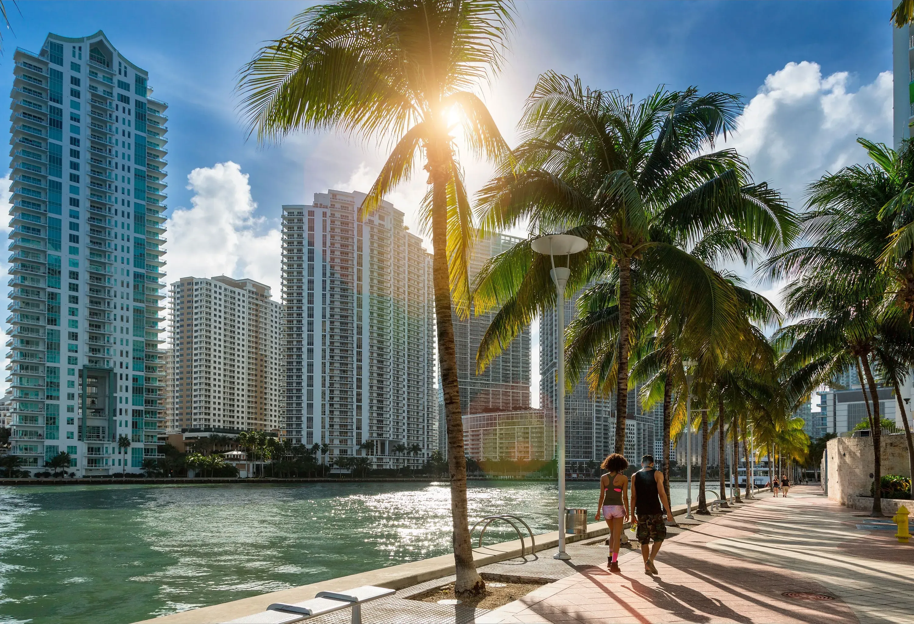 A couple strolls on a tree-lined promenade along a calm river with city skyline views.