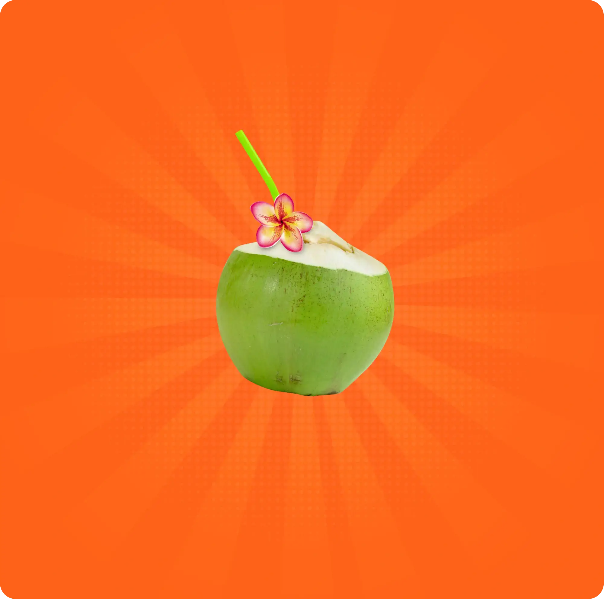 Coco verde com canudo e flor decorativa em fundo laranja, remetendo a destinos tropicais e experiências relaxantes.