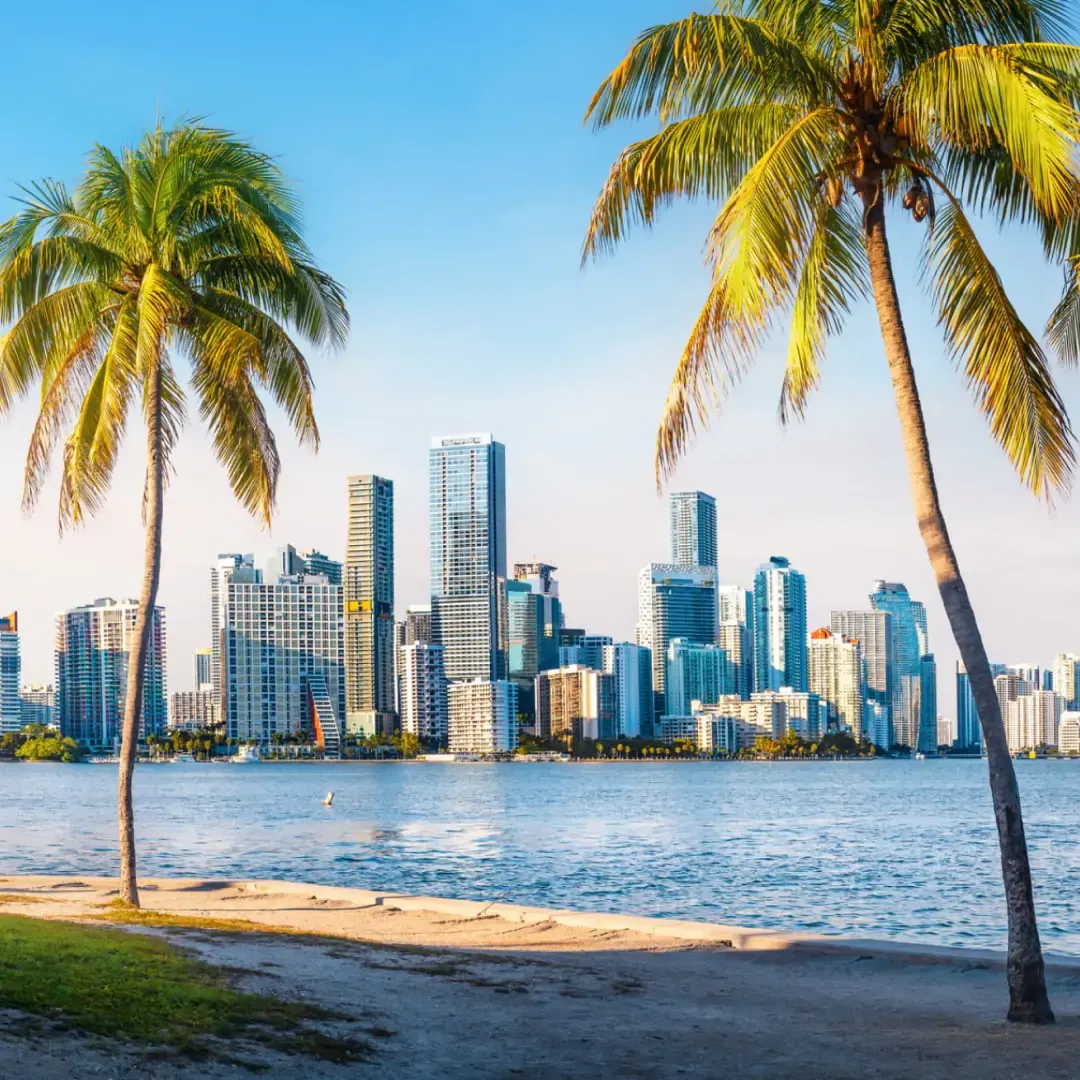 inteernational_miami_1080x1080_black-friday