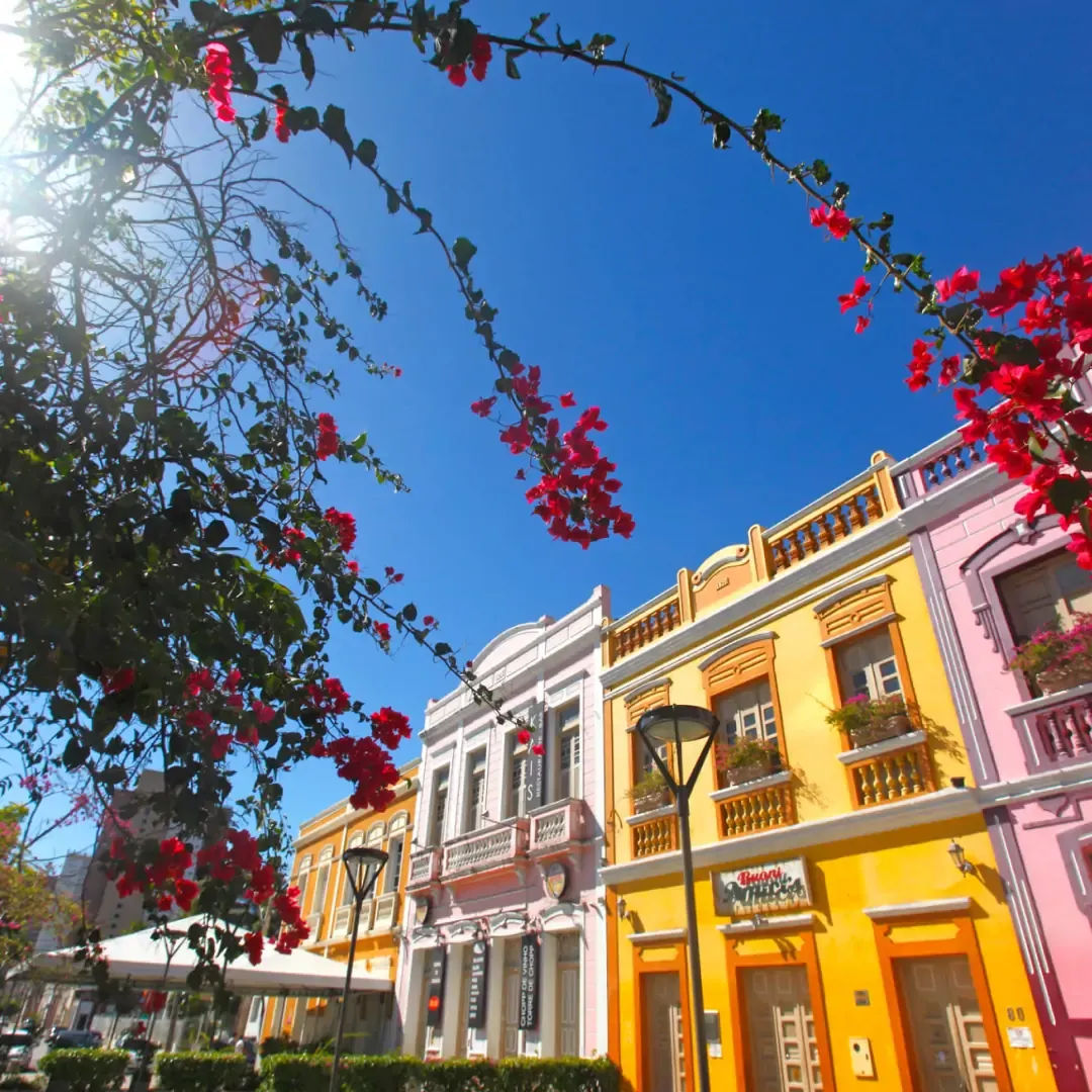 national_fortaleza_1080x1080_black-friday