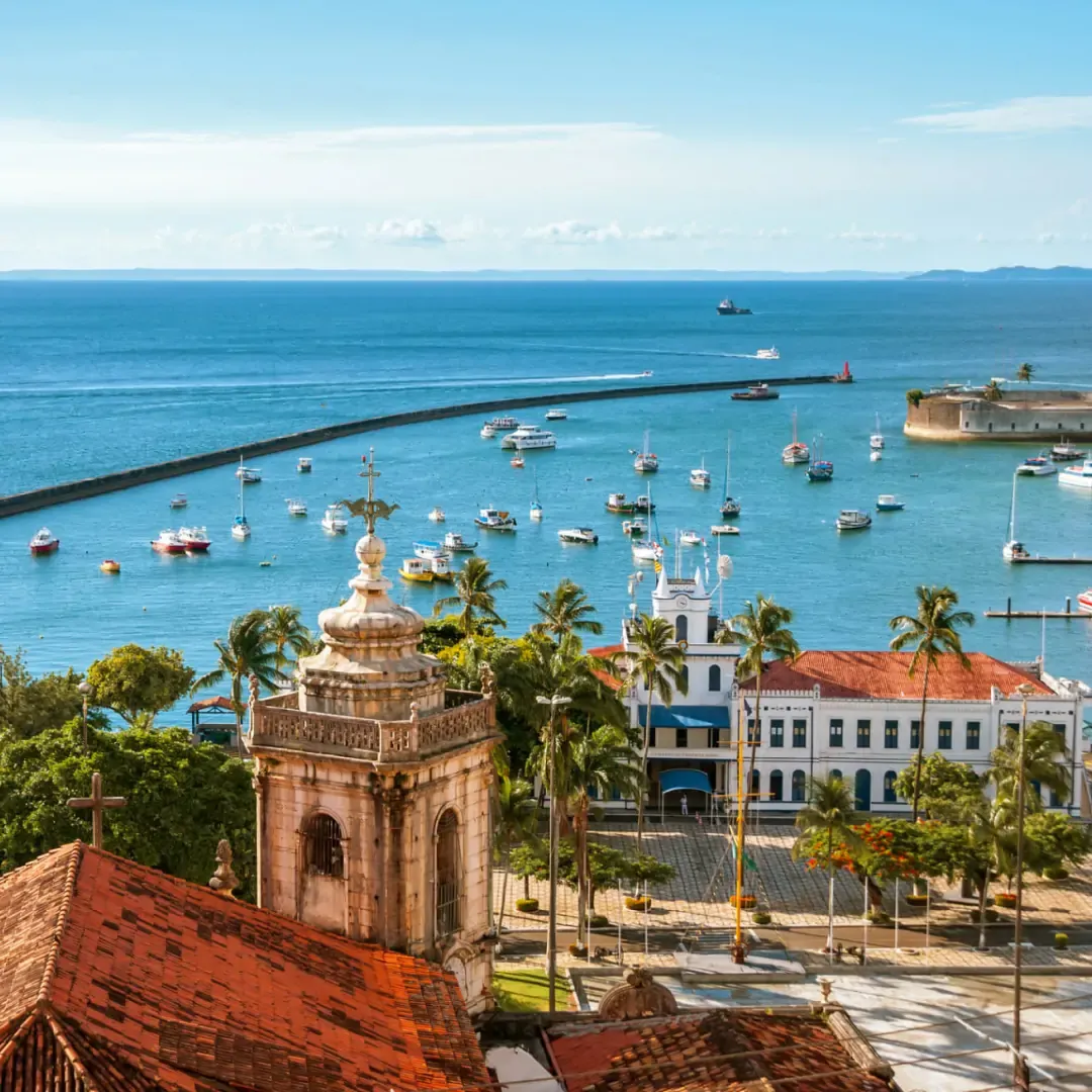 national_salvador_1080x1080_black-friday