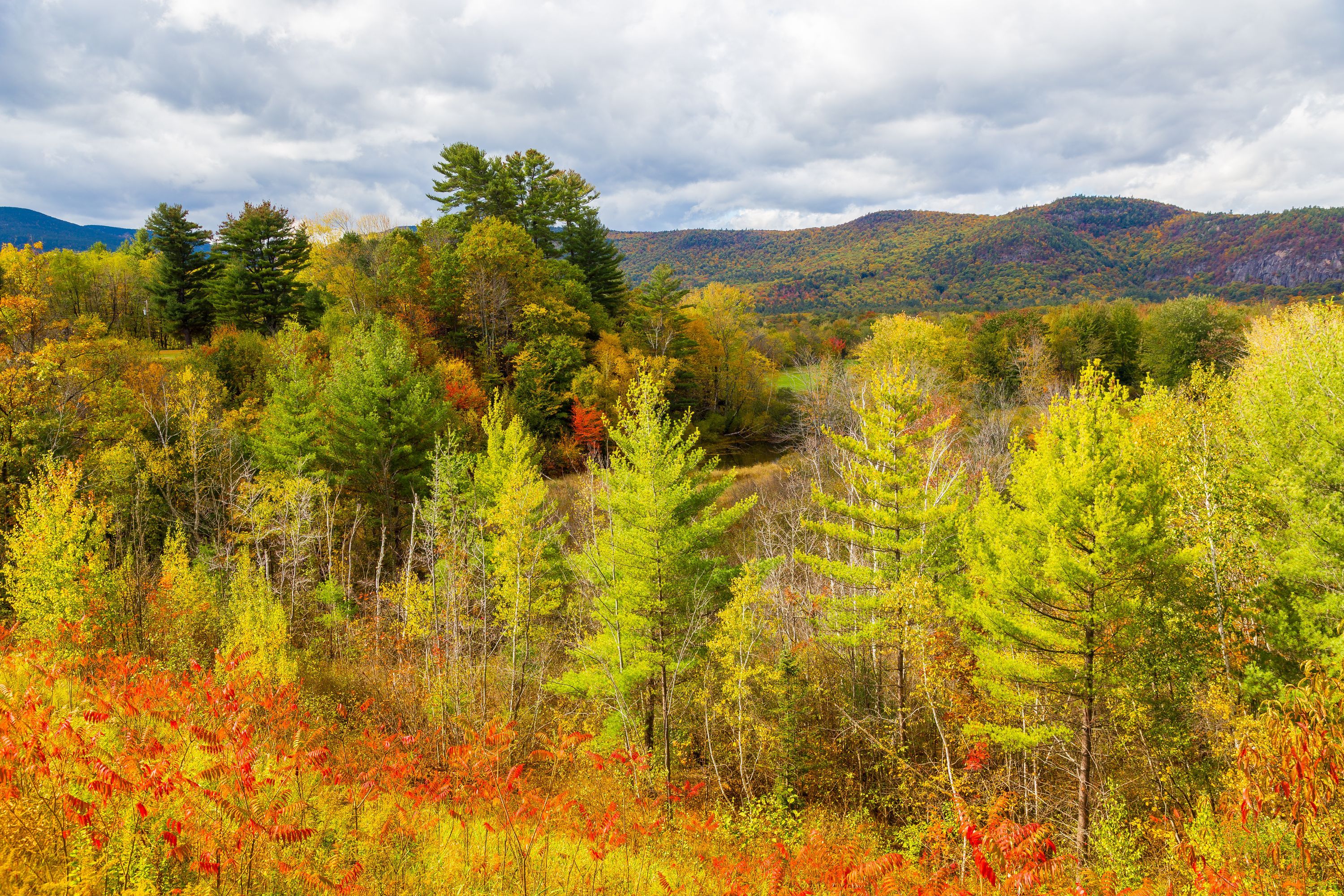 Diretório de hotel North Conway KAYAK