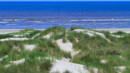 Hotéis em Le Touquet Paris Plag