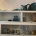 Comodidade do quarto