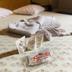Comodidade do quarto