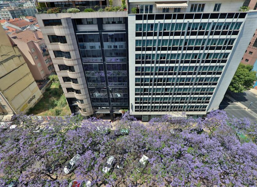 Edifício Foto