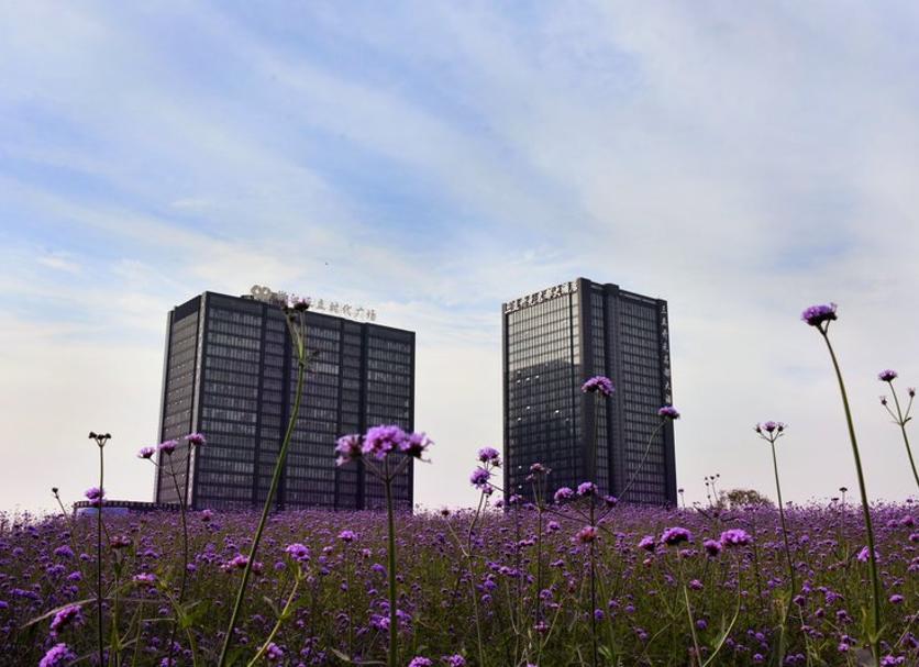 Edifício Foto