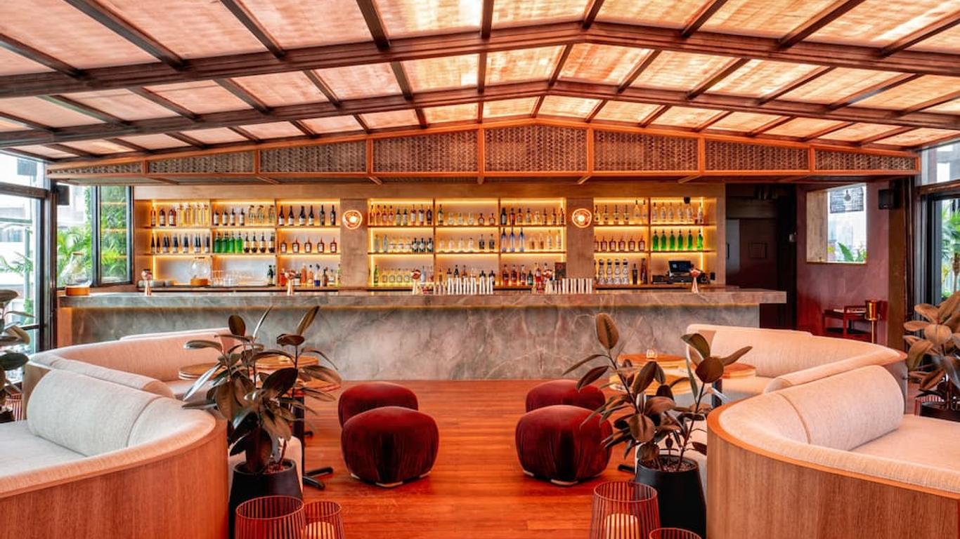 Coda Williamsburg
