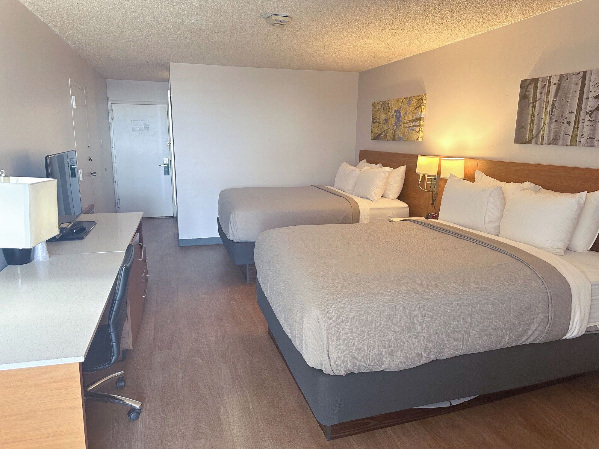 Quarto
