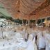 Salão de banquetes