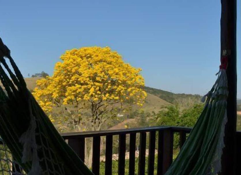 Vista externa Foto