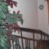 Escadas