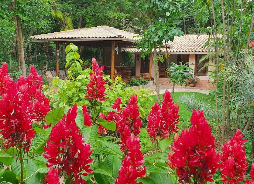 Vista externa Foto